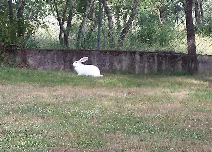 Hotel Poggio Del Drago Ponticino